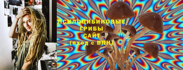 прущая мука Богородицк