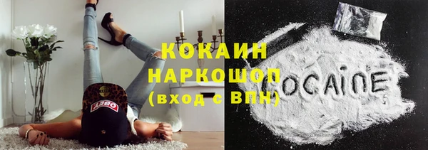 винт Богданович