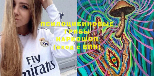 винт Богданович