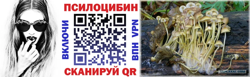 даркнет Telegram  Кингисепп  Псилоцибиновые грибы MAGIC MUSHROOMS  где можно купить наркотик 